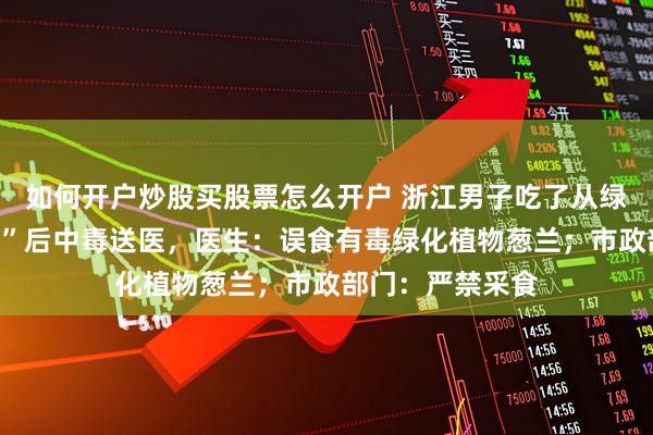 如何开户炒股买股票怎么开户 浙江男子吃了从绿化带摘的“韭菜”后中毒送医，医生：误食有毒绿化植物葱兰；市政部门：严禁采食